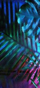Tropical Plants Home Screen home screen wallpaper