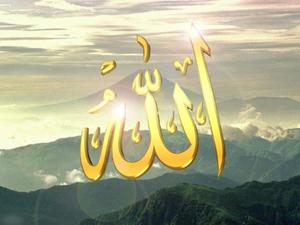 Trust in Allah and Pray Wallpaper