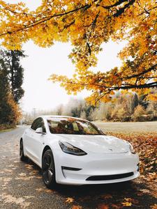 Turn Heads with the White Tesla Car this Autumn car wallpaper