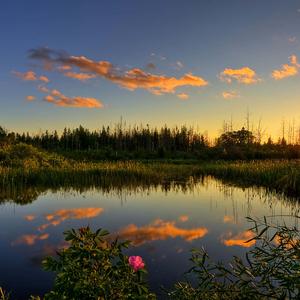Unlock a New Dimension of Beauty with Aesthetic iPad. aesthetic ipad wallpaper
