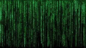 Unlock the mysteries of the Matrix matrix wallpaper
