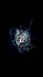 Unlock Your Inner Wolf With the Glowing Power of Amoled amoled wallpaper