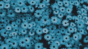 unlock your true potential blue aesthetic wallpaper