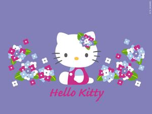 Upgrade Your Computer with a Hello Kitty PC! hello kitty pc wallpaper