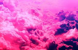 Upgrade your tech with this aesthetically pleasing iPad. aesthetic ipad wallpaper