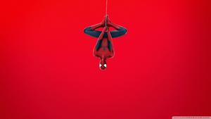 Upside Down Spider Man spider man wallpaper