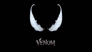 Venom From Marvel Eyes venom wallpaper