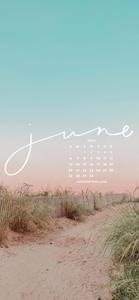 Vibrant June Garden june wallpaper
