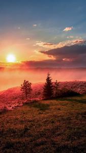 Vibrant Sunset Over the Beach home screen wallpaper