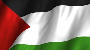 Vibrant Wavy Palestine Flag Against the Sky palestine wallpaper