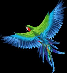 Vibrant_ Parrot_ In_ Flight_ Vector Wallpaper