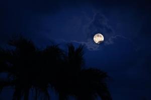 View of the Moon Island moon wallpaper