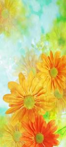 Vivo Y20 Bright Orange Flowers vivo y20 wallpaper
