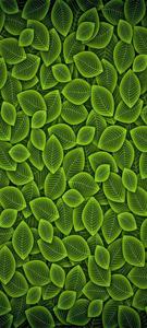 Vivo Y20 Green Leaf Pattern vivo y20 wallpaper