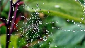 Water Web Full Desktop Screen Hd full screen hd desktop wallpaper