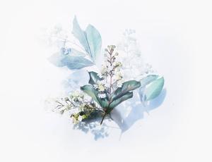 Watercolor Flower Art art wallpaper