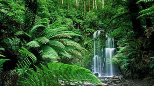Waterfalls Nature Picture nature wallpaper