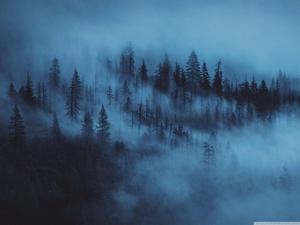 We are all part of a beautiful blue aesthetic blue aesthetic wallpaper