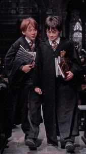 "We must stand united against Voldemort and his followers". harry potter wallpaper