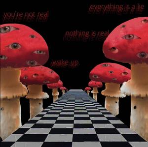 Weirdcore Giant Mushrooms weirdcore wallpaper