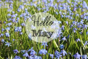 Welcome May - A Glimpse of Spring in a Lily Field may wallpaper
