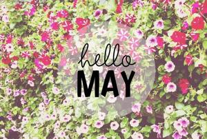 Welcome May with blooming flower petals may wallpaper