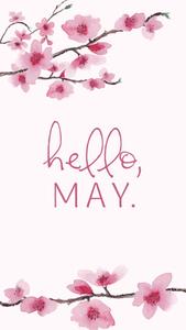 Welcome May, with its bloom of Cherry Blossoms may wallpaper