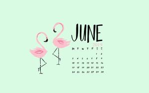 Welcome Summertime With June's Flamingo Vibes june wallpaper