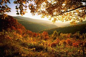 Welcome the fall season with breathtaking sceneries fall wallpaper