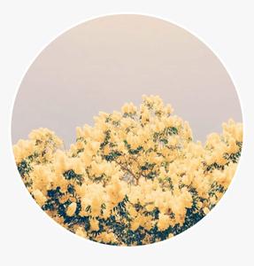 Welcome the sweetness of pastel colors into your life! pastel aesthetic wallpaper