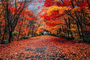 Welcome to Fall fall wallpaper