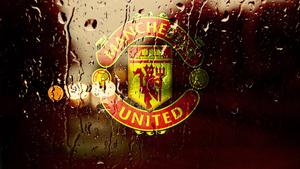 Wet Manchester United Poster manchester united wallpaper