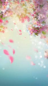 WhatsApp Chat Falling Cherry Blossom Petals whatsapp chat wallpaper