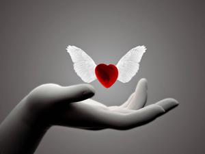 WhatsApp DP Winged-Red Heart whatsapp dp wallpaper