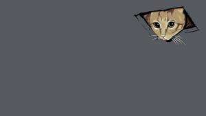 When you try to find a way out of a situation, but your ceiling cat meme won’t budge meme wallpaper