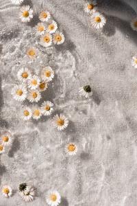 White Aesthetic Daisies white aesthetic wallpaper