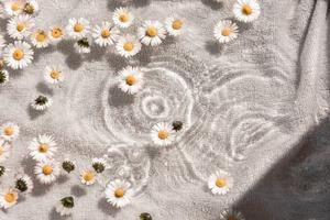 White Aesthetic Daisy Flowers white aesthetic wallpaper