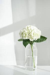 White Aesthetic Flower Bouquet white aesthetic wallpaper