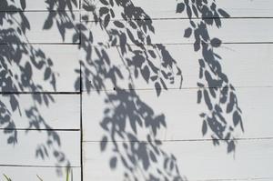 White Aesthetic Wooden Panel white aesthetic wallpaper
