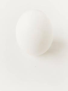 White Egg