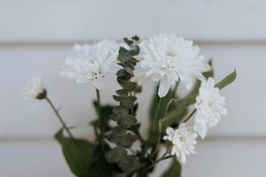 White Flowers For Mothers Day mothers day wallpaper