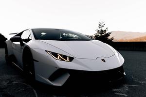 White Lamborghini Sports Car lamborghini wallpaper