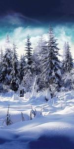 White Pines Winter iPhone winter iphone wallpaper