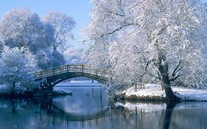 White Winter Bridge winter wallpaper