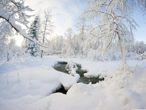 White Winter Landscape winter wallpaper
