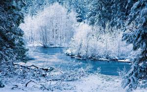 White Winter Riverside winter wallpaper