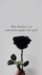 why should i go and fail apart for you? black wallpaper