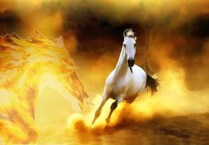 Wild Horse Running Free horse wallpaper