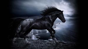 Wild horse running through a meadow 