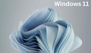 windows 10 - microsoft windows 10 - microsoft windows 10 - microsoft windows 10 - microsoft windows 10 - microsoft windows 10